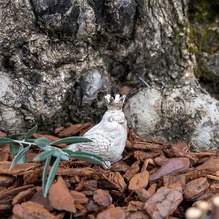 Apartamento Nordlicht Langenhorn