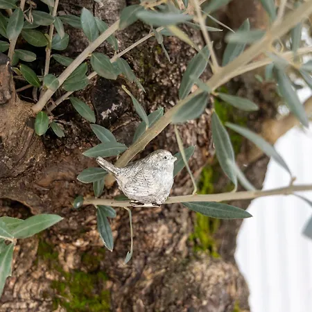 Nordlicht Langenhorn